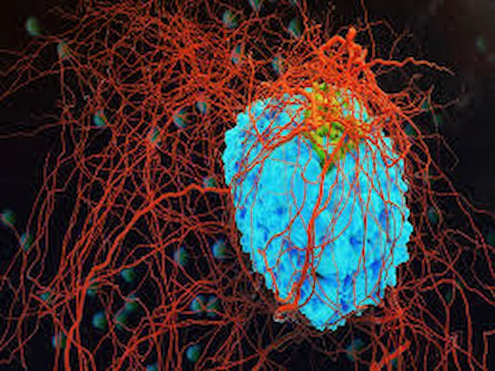 رشد توده سرطانی در بدن 545541650