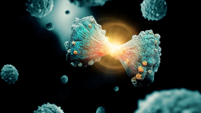 درمان ترکیبی سرطان در کلینیک با پرتودرمانی 456410